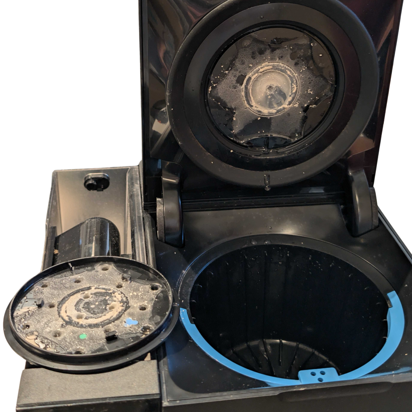 Scaled-Up Aiden (2).png