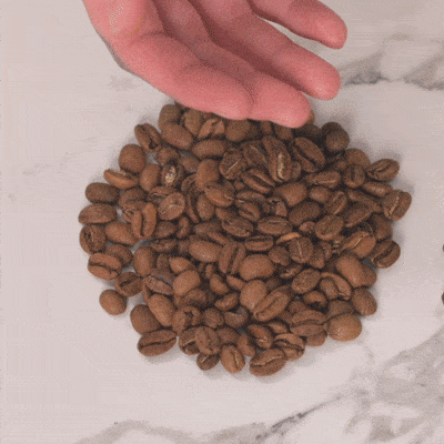 ChooseCoffeeBeans6-ezgif.com-optimize.gif