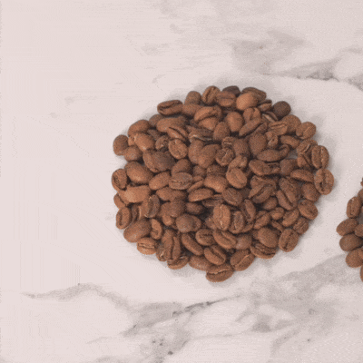 ChooseCoffeeBeans5-ezgif.com-optimize.gif